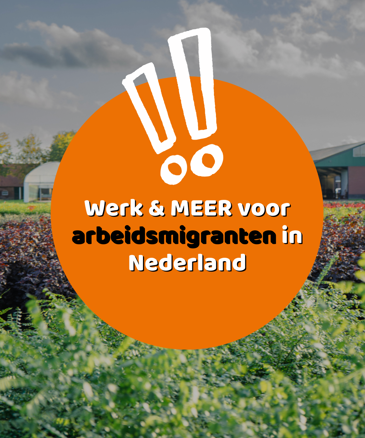 Werk & MEER voor arbeidsmigranten in Nederland